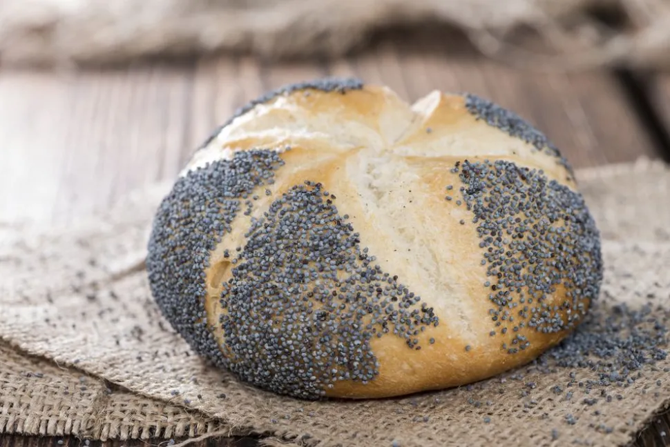 mohnsaat_1.webp Mohnsaat