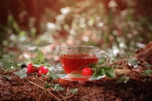 Waldbeeren Cocktail